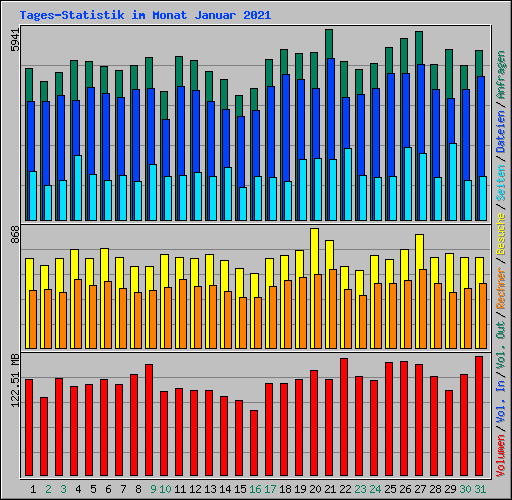 Tages-Statistik im Monat Januar 2021