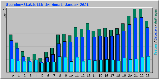 Stunden-Statistik im Monat Januar 2021