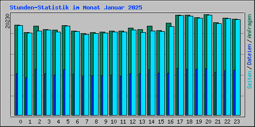 Stunden-Statistik im Monat Januar 2025