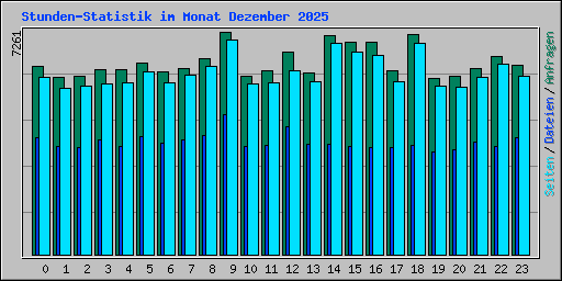 Stunden-Statistik im Monat Dezember 2025