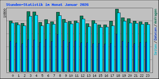 Stunden-Statistik im Monat Januar 2026
