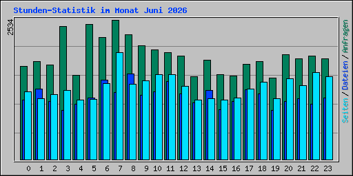 Stunden-Statistik im Monat Juni 2026